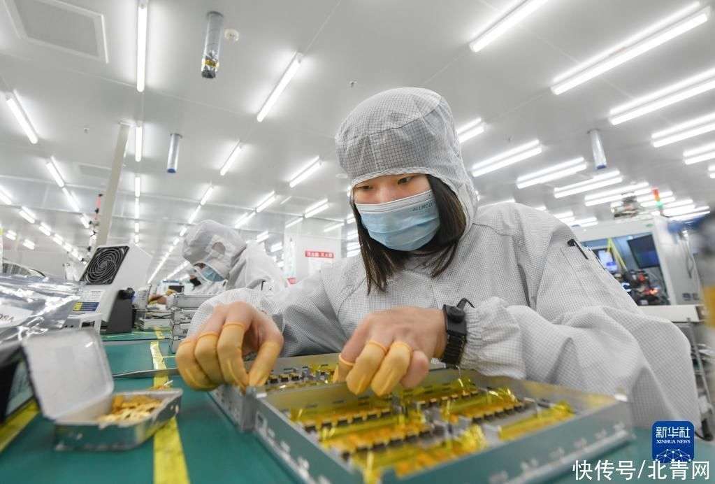 靠“谱”服务、技术推销、标准开路——一家光通信企业的“出海秘籍”